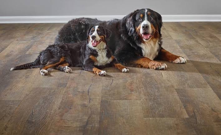 Best Flooring Options for High-Traffic Homes with Pets